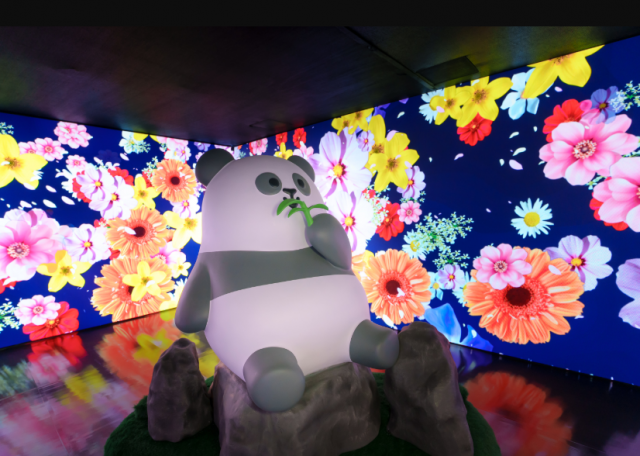 Immersive experience of “Panda Wonders: An Illuminated Journey at Ocean Park (Credit: Ocean Park Hon...