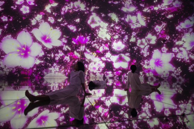 teamLab Planets, a museum in Toyosu, Tokyo, where you can immerse yourself with your entire body, has unveiled a cherry blossom-themed artwork by the international art collective teamLab. (teamLab, Floating in the Falling Universe of Flowers, Video: teamLab)