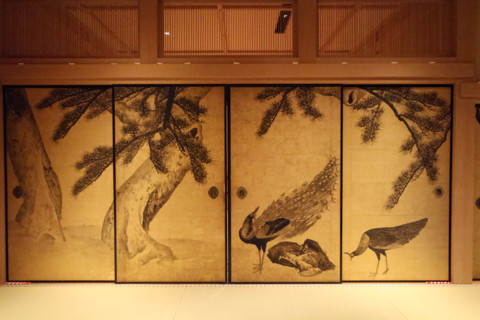 The peacock images