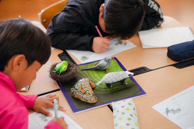 제주대학교 융합디자인학과와 공동 제작한 3D 동식물 모형. 학생들이 오소리, 직박구리, 동박새, 조릿대 등 제주 자생 동ㆍ식물 특징을 입체적으로 관찰하며 동식물의 상호 관계를 파악하고 있다