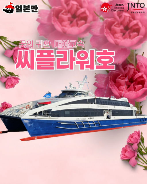 일본만의 ‘부산-대마도 실속 당일치기 코스’ 상품을 통해 이용 가능한 ‘대아고속 씨플라워호’