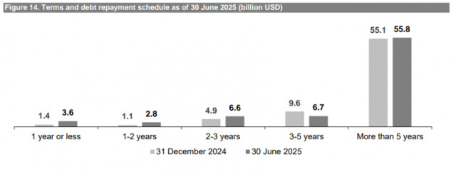 Figure 14. Terms and debt repayment schedule as of 30 June 2025 (billion USD)
