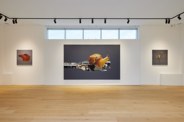 이엔갤러리 김영성 작가 개인전 ‘[無·生·物]’ 전시 전경