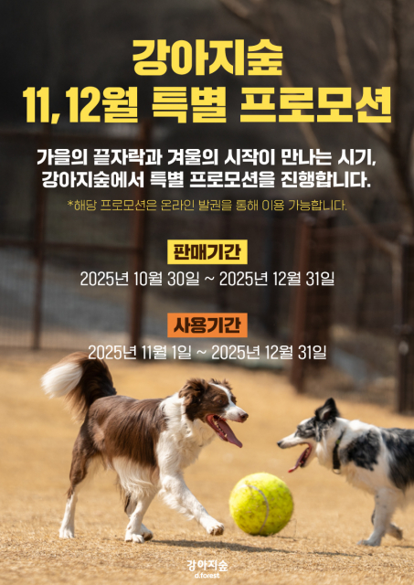 강아지숲 11, 12월 특별 프로모션