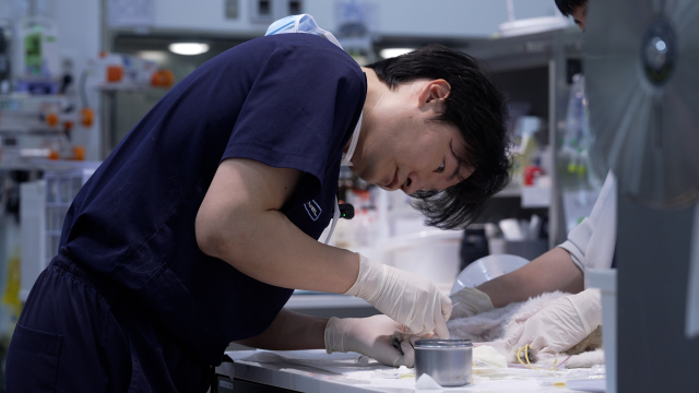 넬동물심장센터 엄태흠 원장이  방송에서 수술을 마친 환견을 세심하게 살피고 있다(제공=SBS Life)