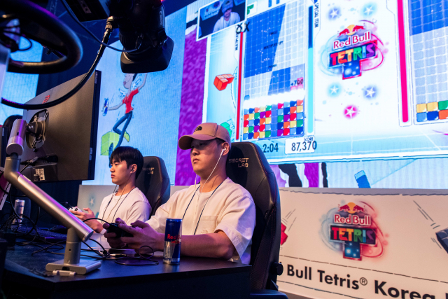 레드불 테트리스 한국 결선