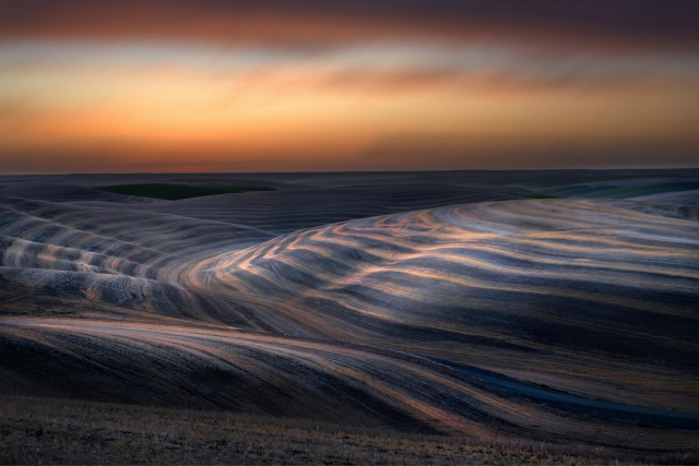 배복형 작가 ‘지평의 사색’