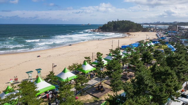 강원특별자치도 고성군과 더루트컴퍼니가 앵커조직으로 참여하는 오호항 어촌신활력증진사업(유형 2)의 일환으로 지난 10월 19일 고성군 죽왕면 오호 캠핑장에서 ‘오호리네 가을식탁 & 테일마켓’이 성황리에 개최됐다