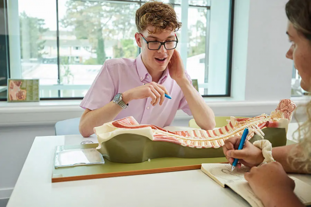 우스터 대학교 의전원