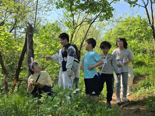 극화를 바탕으로 숲을 탐색하는 아이들