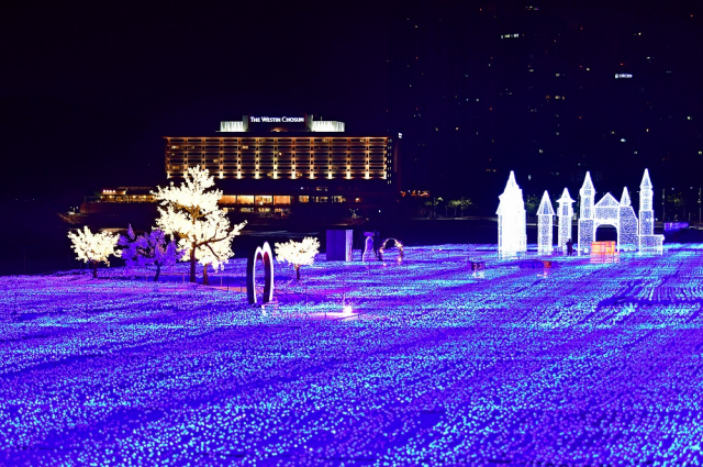 매년 겨울밤을 물들이는 ‘해운대 빛축제’ 전경
