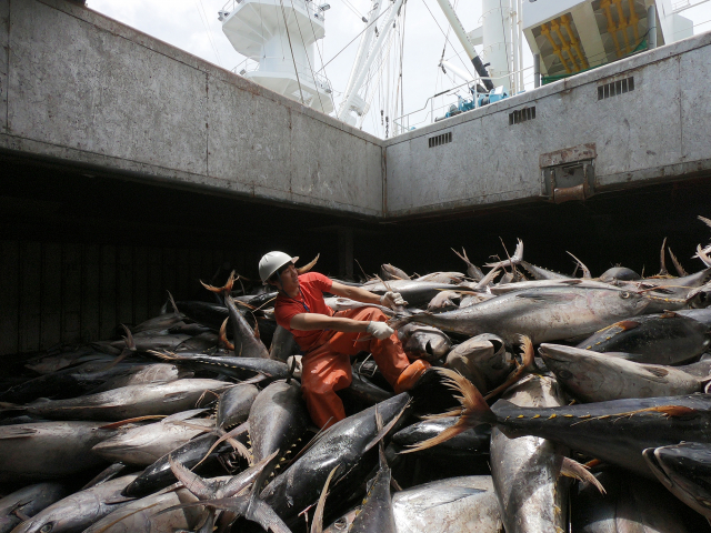 저자 김현무 선장