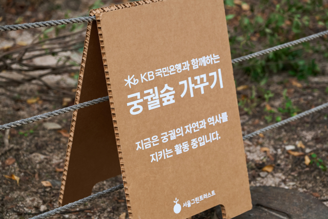 창경궁 내 ‘KB GreenWave 궁궐숲’에서 시민 봉사자들이 나무심기 봉사활동을 진행하고 있다