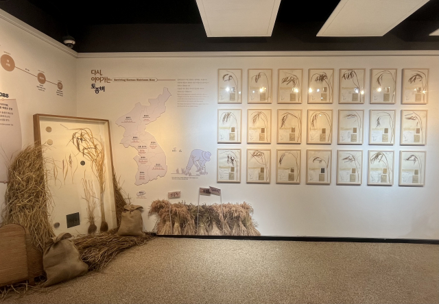 토종쌀로 전시 모습