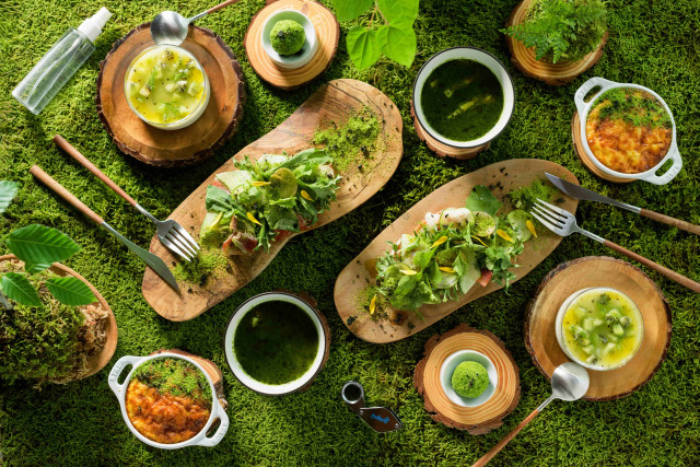 객실 전용 조식, 아보카도와 루꼴라로 이끼 낀 바위 풍경을 형상화한 북유럽풍 오픈 샌드위치(스뫼레브뢰)