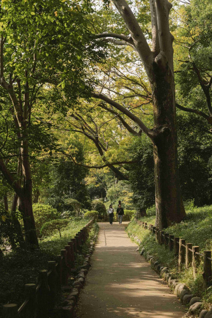 올해의 여름 여행지, 일본(사진 제공: 익스피디아 그룹)