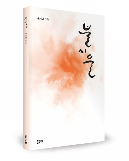 송기남 지음, 좋은땅출판사, 148쪽, 1만6800원