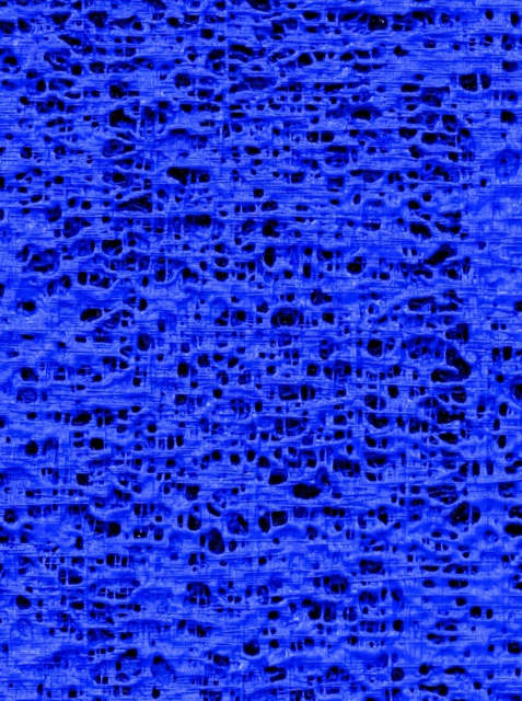 Rhizome field No.2026-120(F)-002 부분 확대