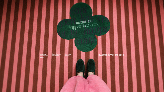 ‘민투헤즈컴(M2HHC)’ A LUCKY THING RUG
