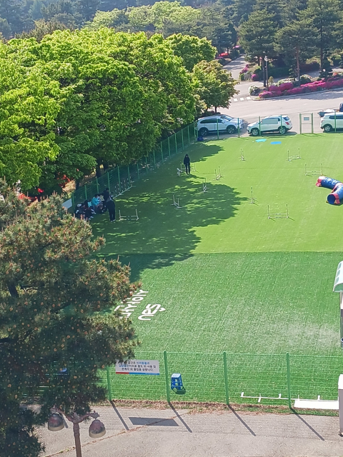 신안산대학교 반려동물과 야외 훈련장 전경. 반려동물 행동&middot;훈련 및 실습 교육을 위한 야외 교육공간으로 운영되고 있다