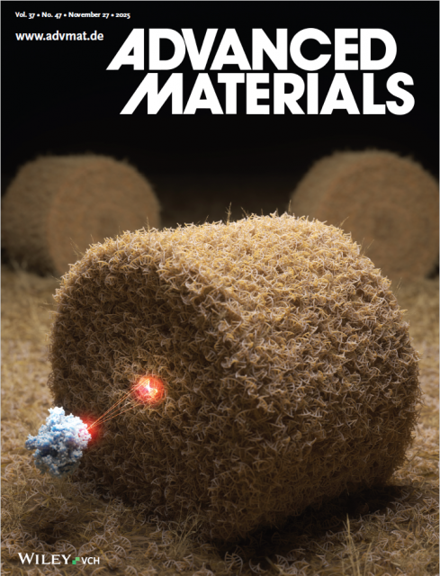 진씨커의 핵심 기술 MUTE-Seq 연구가 게재된 국제학술지 ‘Advanced Materials’ 2025년 11월 27일자 커버. 정상 DNA 속 극미량의 암 관련 변이 신호를 찾아내는 원리를 형상화했다