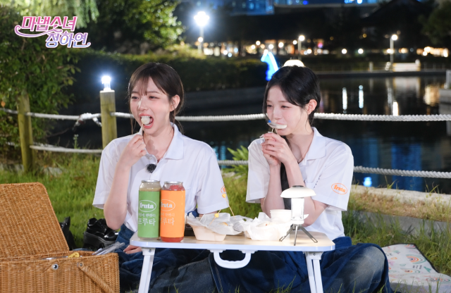 프루타의 대표 커팅과일, 과일음료 및 떡 디저트와 함께 피크닉을 즐기며 메뉴를 선보이는 모습