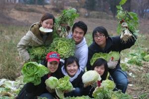 상명대학교 학생들이 경기도 남양주시 와부읍에서 진행된“100% 유기농, 우리농산물 배추심기