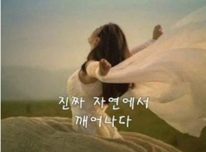 김태희 하루 동영상