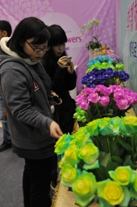 2010광주봄꽃박람회 ‘장미특별관’에는 평소 쉽게 볼 수 없었던 온도변화에 따라 색깔이 변