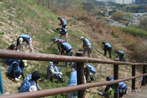 환경실천연합회 월드컵공원 위해식물제거활동 모습