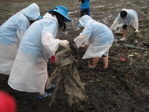 어촌봉사단원들이 전남 진도군 접도마을 인근 바닷가에서 태풍에 쓸려 내려온 바다 쓰레기들을 