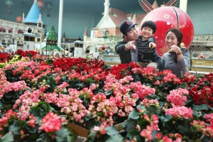 롯데월드는 국내 최초로 한 겨울에 오십만 송이 꽃을 체험할 수 있는 새해 첫 꽃 축제 을 