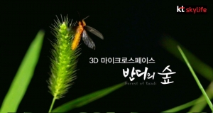 KT스카이라이프(사장 이몽룡)가 제작한 3D 초접사 자연다큐 '반디의 숲'