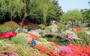 KRISS(한국표준과학연구원, 원장 강대임)가 영산홍, 철쭉 등 봄꽃들이 만개한 ‘KRIS