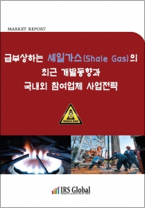 '급부상하는 셰일가스(Shale Gas)의 최근 개발동향과 국내외 참여업체 사업전