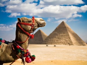 망자들의 거대도시 카이로. 피라미드&스핑크스
