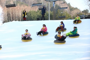 용평리조트에서 개최된 ‘April Snow Festival’ 눈썰매 대회에서 태국 관광객들