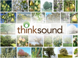 Thinksound