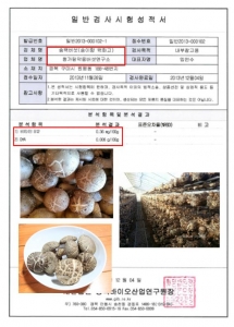 DHA 함유, 치매예방에 탁월한 식용버섯 송백버섯이 한국최초로 출시됐다.