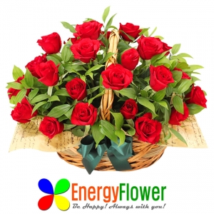 에너지플라워는 꽃을 일정금액 이상 구매하면 선물로 미국 10,000개 학교가 사용하는 미국
