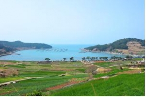 한국어촌어항협회는 해양수산부와 함께 완도국제해조류박람회의 성공적인 개최를 지원하기 위해 완