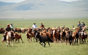 몽골리아 세븐데이즈가 알뜰 여행족을 위한 파격 상품을 출시했다.