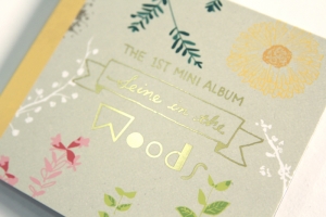 싱어송라이터 세인의 미니앨범 Woods가 발매됐다.