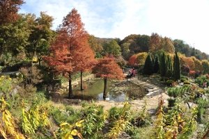 10월 3일부터 26일까지 한택식물원에서 들국화·단풍페스티벌이 열린다.