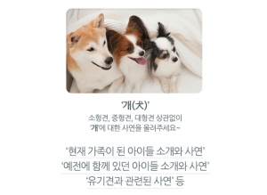 밍몽은 개와 관련된 사연을 올려준 회원들 중 6명을 선정해 선정된 회원들 이름으로 유기견 