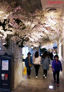 엔터식스가 봄을 맞이하여 17일부터 4월 12일까지 2차에 걸쳐 서프라이즈 벚꽃파티 프로모