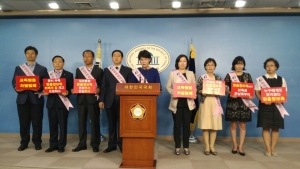 맞춤형보육 제도개선 및 시행연기 촉구 2차 기자회견에서 발언하는 한국어린이집총연합회 모습이