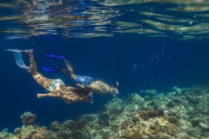 몰디브에 위치한 반얀트리 호텔과 앙사나 리조트가 인도양의 해양 생태계를 보호하기 위해 산호