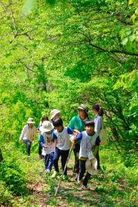 녹색교육센터가 4월부터 진행되는 와숲에 참가할 서울 소재의 지역아동센터를 모집한다