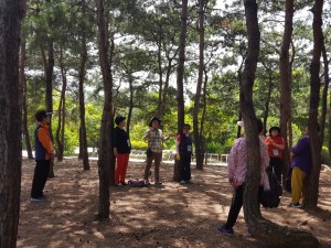 녹색교육센터의 시니어 생태예술 프로젝트 숲과함께 참가자